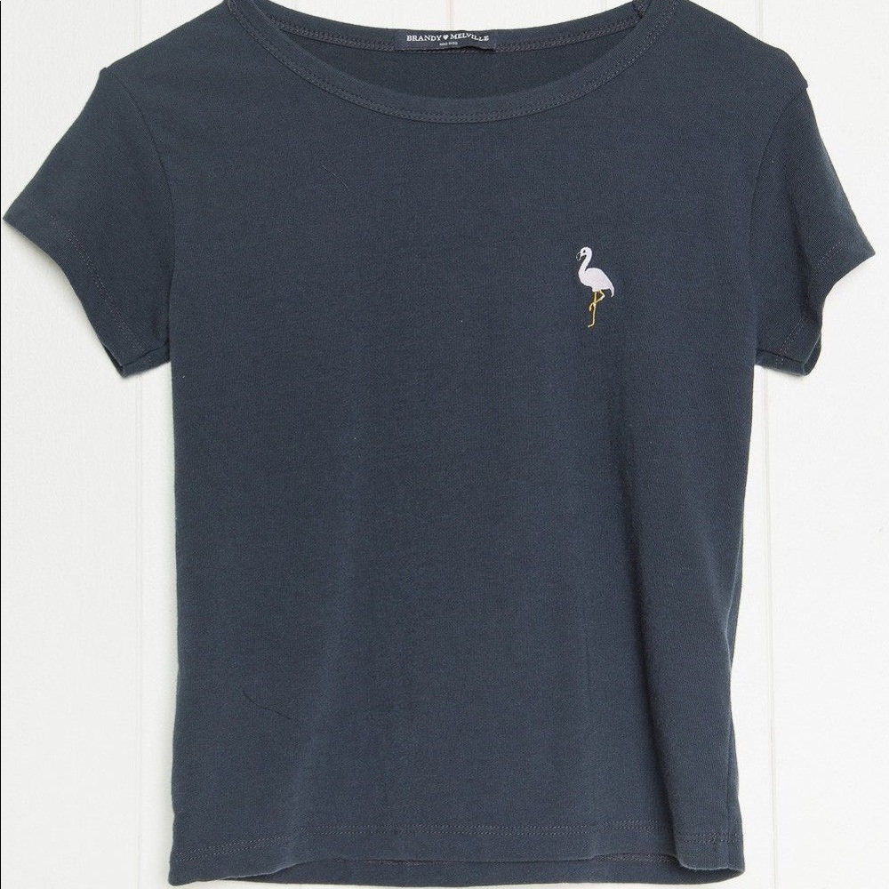 Brandy Melville flamingo logo crop top
